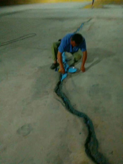 工廠耐磨地坪壞了不用愁，中建新合修補(bǔ)料助你快速修復(fù)